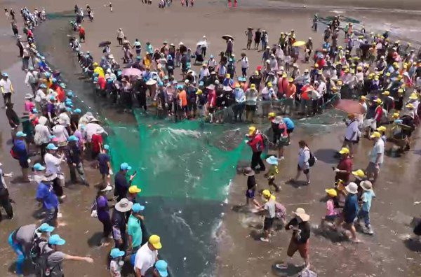 新屋沿海地區傳統技藝牽罟 　民眾一起體驗捕魚共享的生活