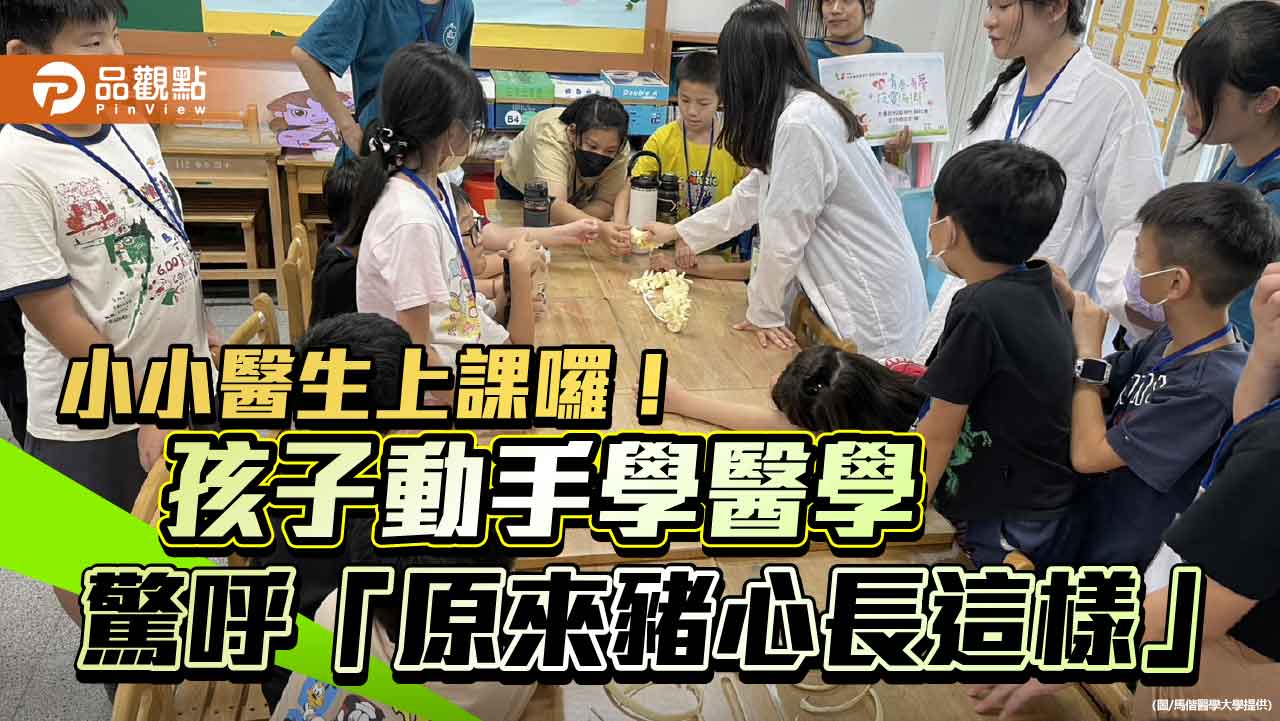小小醫生上課囉!孩子動手學醫學 驚呼「原來豬心長這樣」 小小醫生上課囉!孩子動手學醫學 驚呼「原來豬心長這樣」