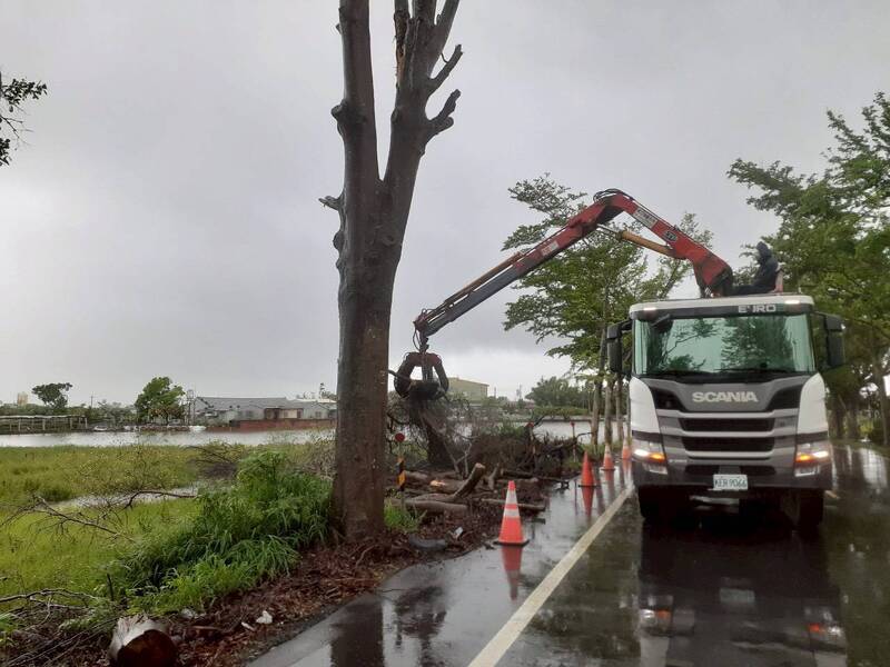 颱風吹襲 台南行道樹、公園傾倒樹木2萬餘棵 已清理完成