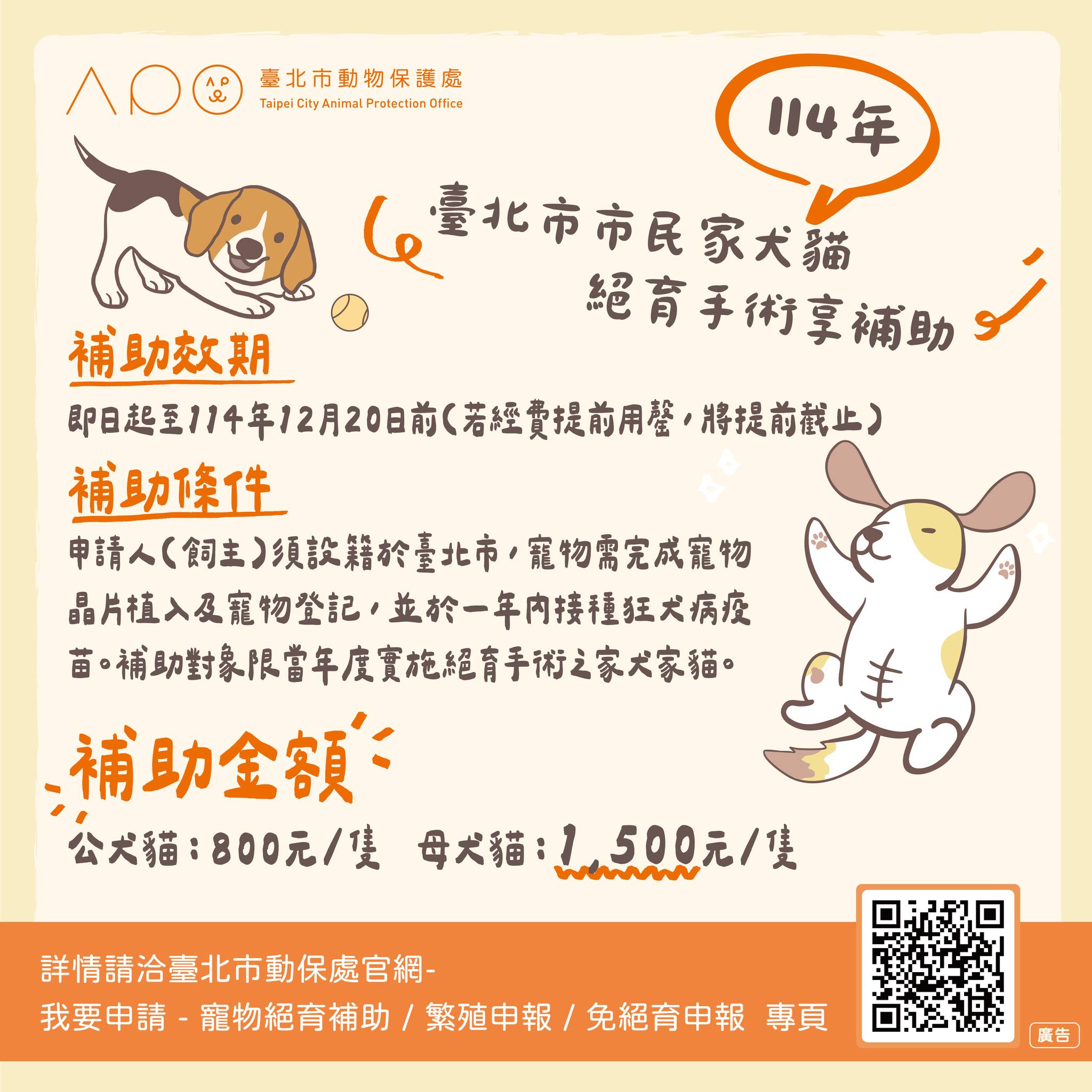 毛孩絕育快申請！北市動保處補助款額度有限　先搶先贏