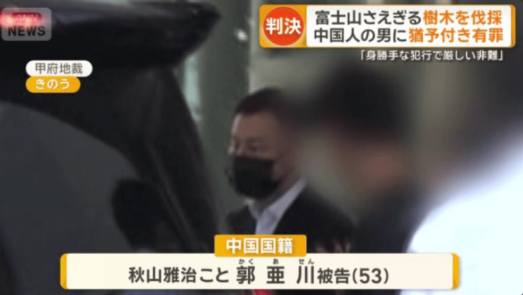 影／嫌看不到富士山！中國籍飯店老闆中派人砍鄰居23棵樹「僅判緩刑」　受害者怒：判太輕