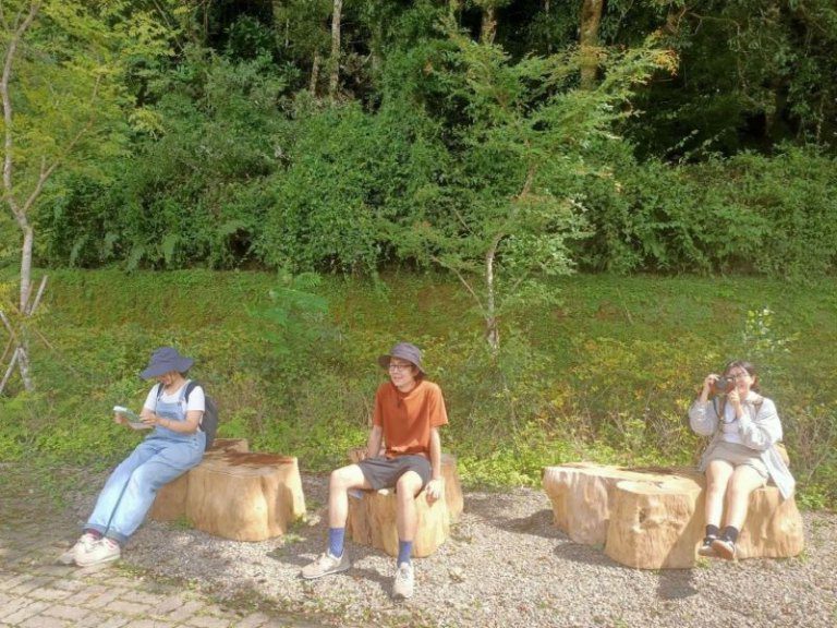 倒伏巨木重生雲朵木椅 溫柔撫慰遊客身心 倒伏巨木重生雲朵木椅 溫柔撫慰遊客身心