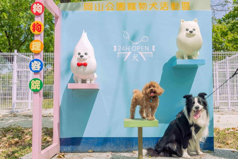 岡山公園寵物活動區萌力爆表  從跑跳到拍照一次滿足
