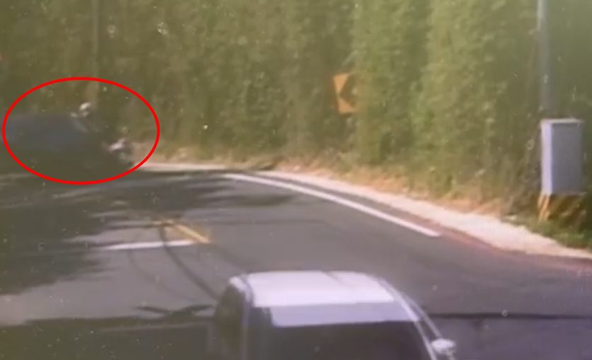 【有片】逆向行駛衝撞女騎士!小客車下秒「誇張行徑」全都錄 【有片】逆向行駛衝撞女騎士!小客車下秒「誇張行徑」全都錄