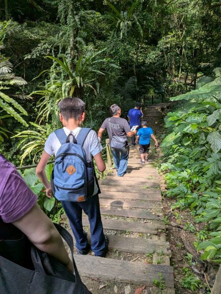 森遊竹縣年年升級　　2025全新定向越野與探險任務登場