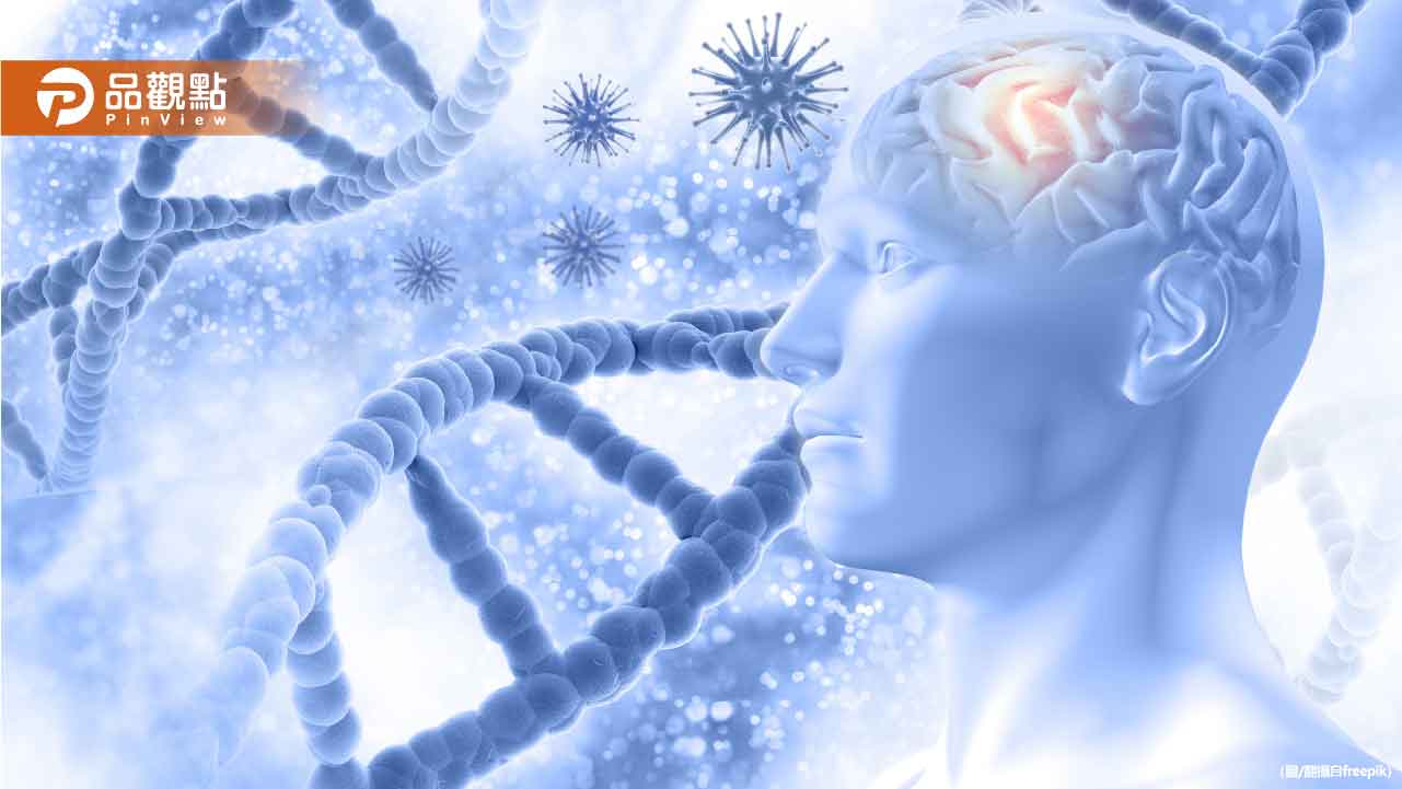 最新研究曝:吃太鹹「腦細胞大亂鬥」血壓衝高 最新研究曝:吃太鹹「腦細胞大亂鬥」血壓衝高