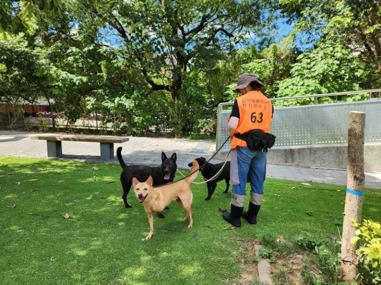 新埔扣押犬隻9月1日全數接回動保所安置