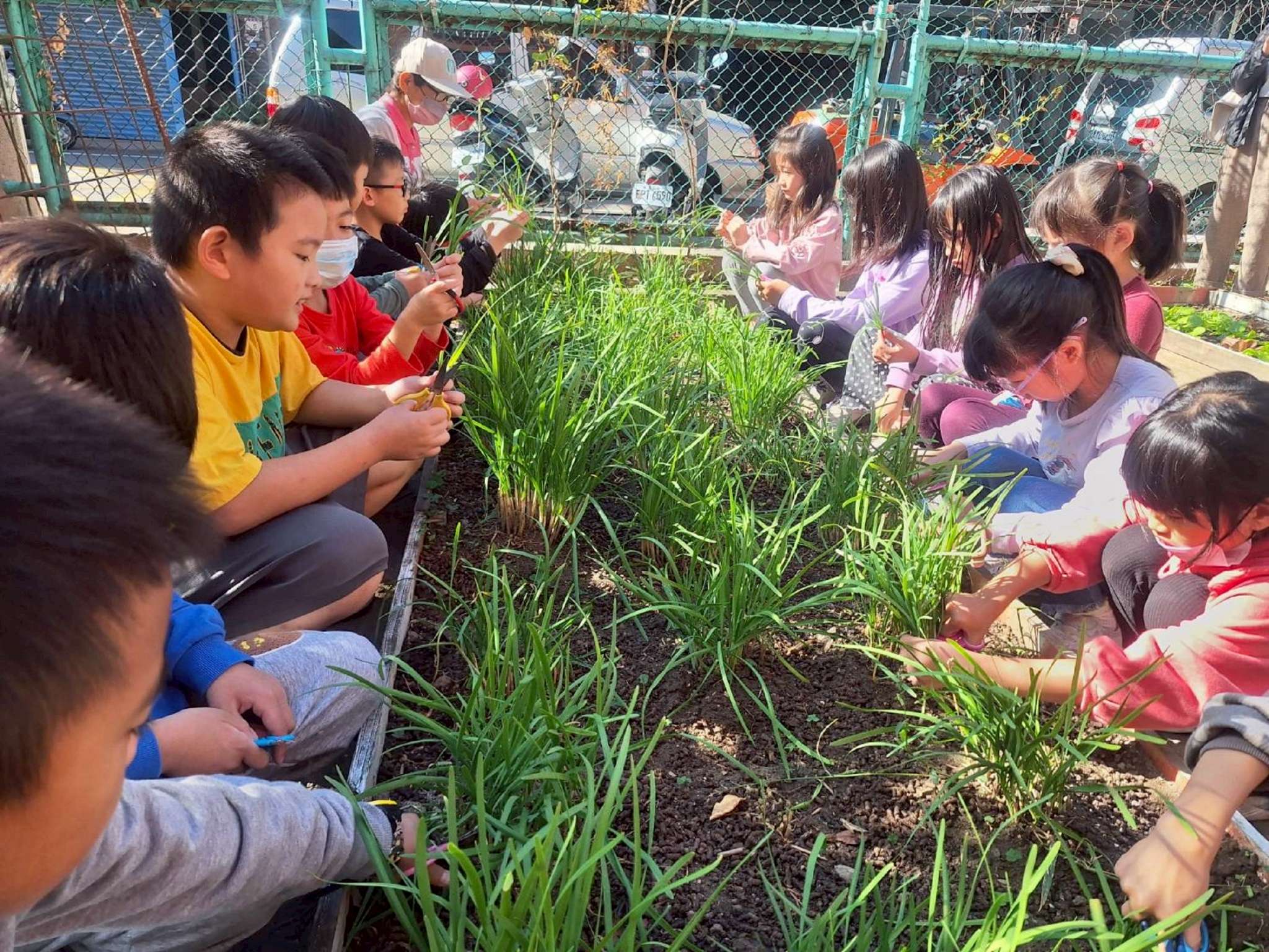 桃園市府持續升級免費營養午餐 多管齊下守護學子飲食安全