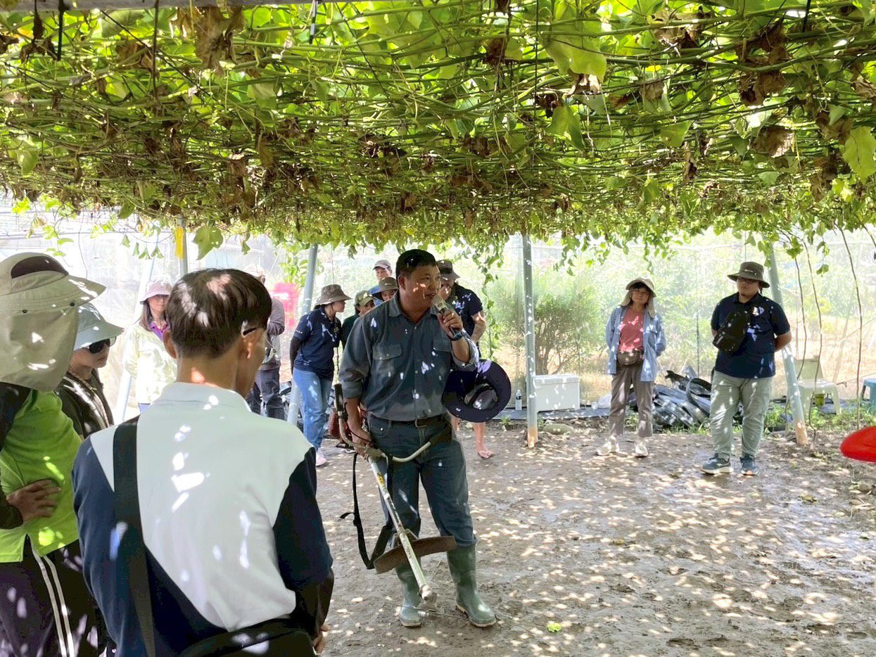 高市農業局百香果去藤觀摩實機上陣  採後清園輕鬆上手