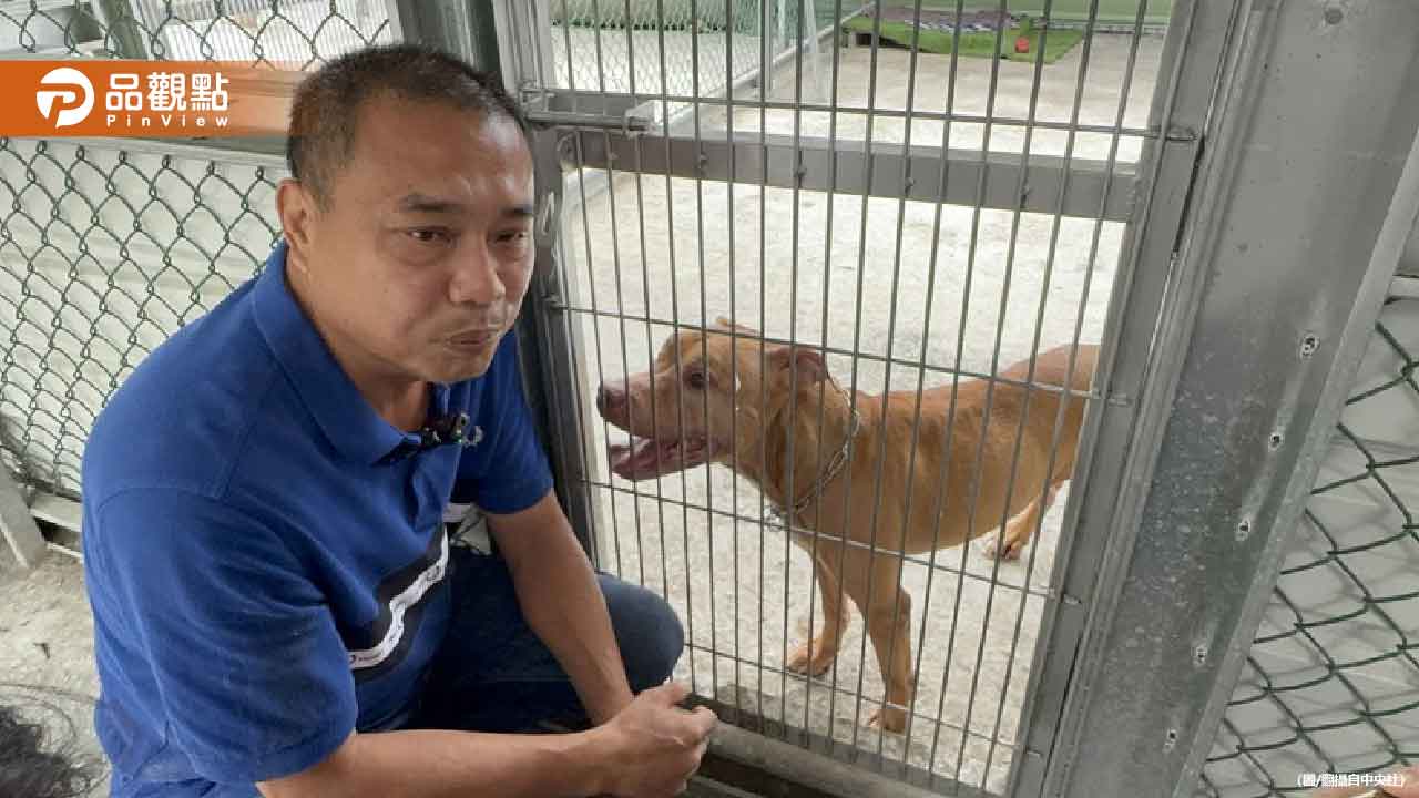 比特犬Lucky兩度咬傷人！雲林新飼主砸40萬打造新家