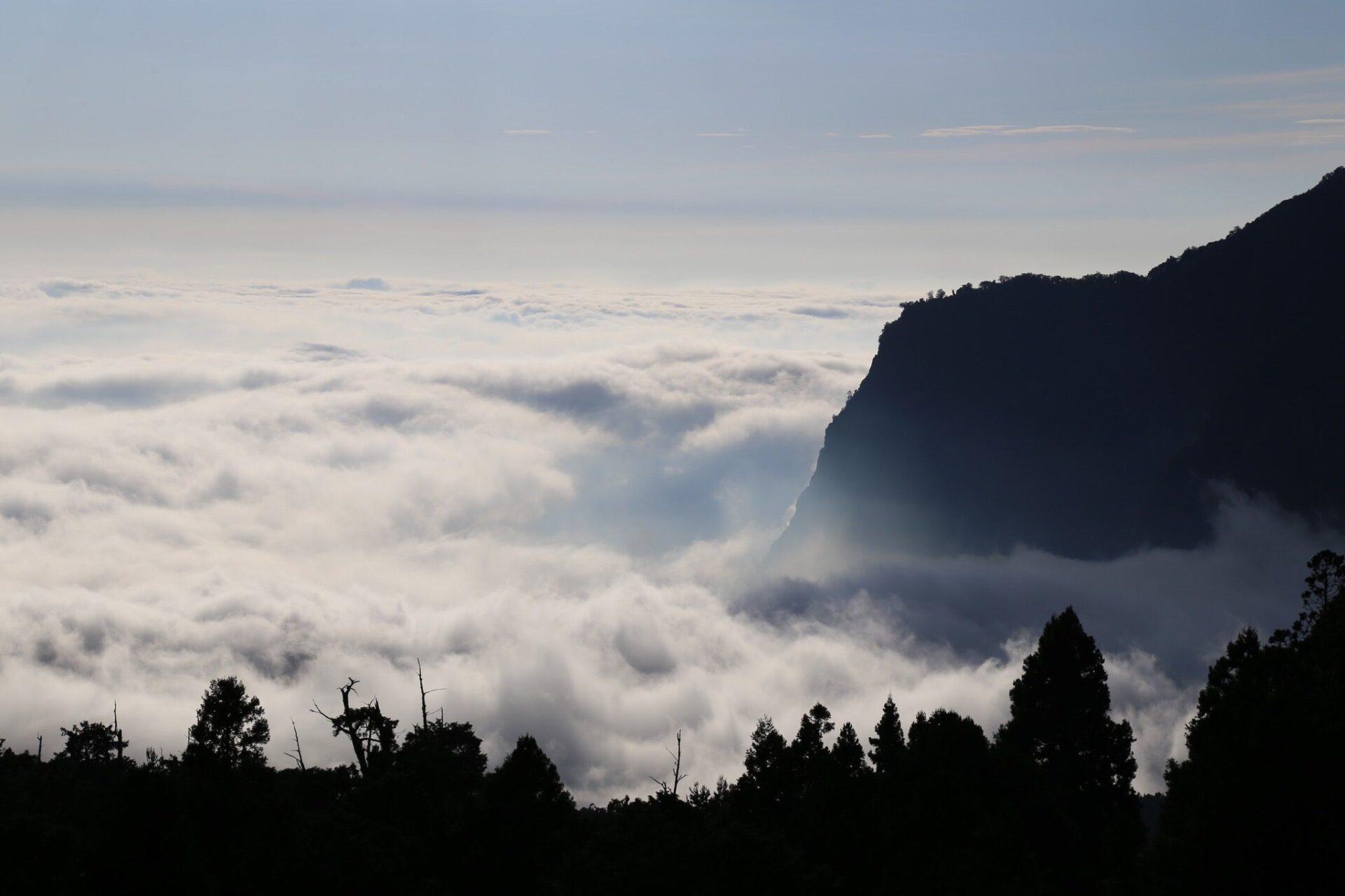 阿里山賓館推鐵道秘境   山村小旅行套裝遊程