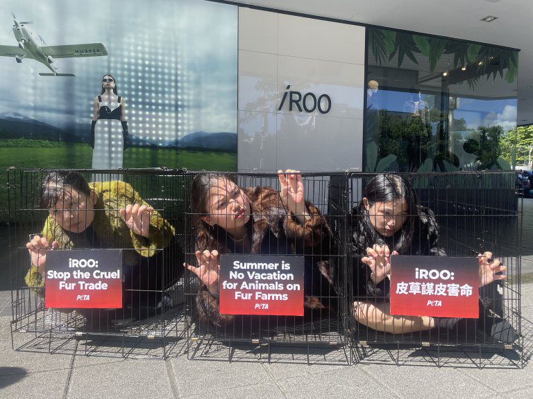 動保人士酷暑「籠」中抗議 疾呼 iROO 停止販售皮草 動保人士酷暑「籠」中抗議 疾呼 iROO 停止販售皮草