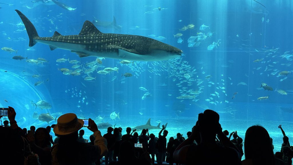 日本「這城市」可以聽見台語！　網一致認同：撞到講台語還能對話