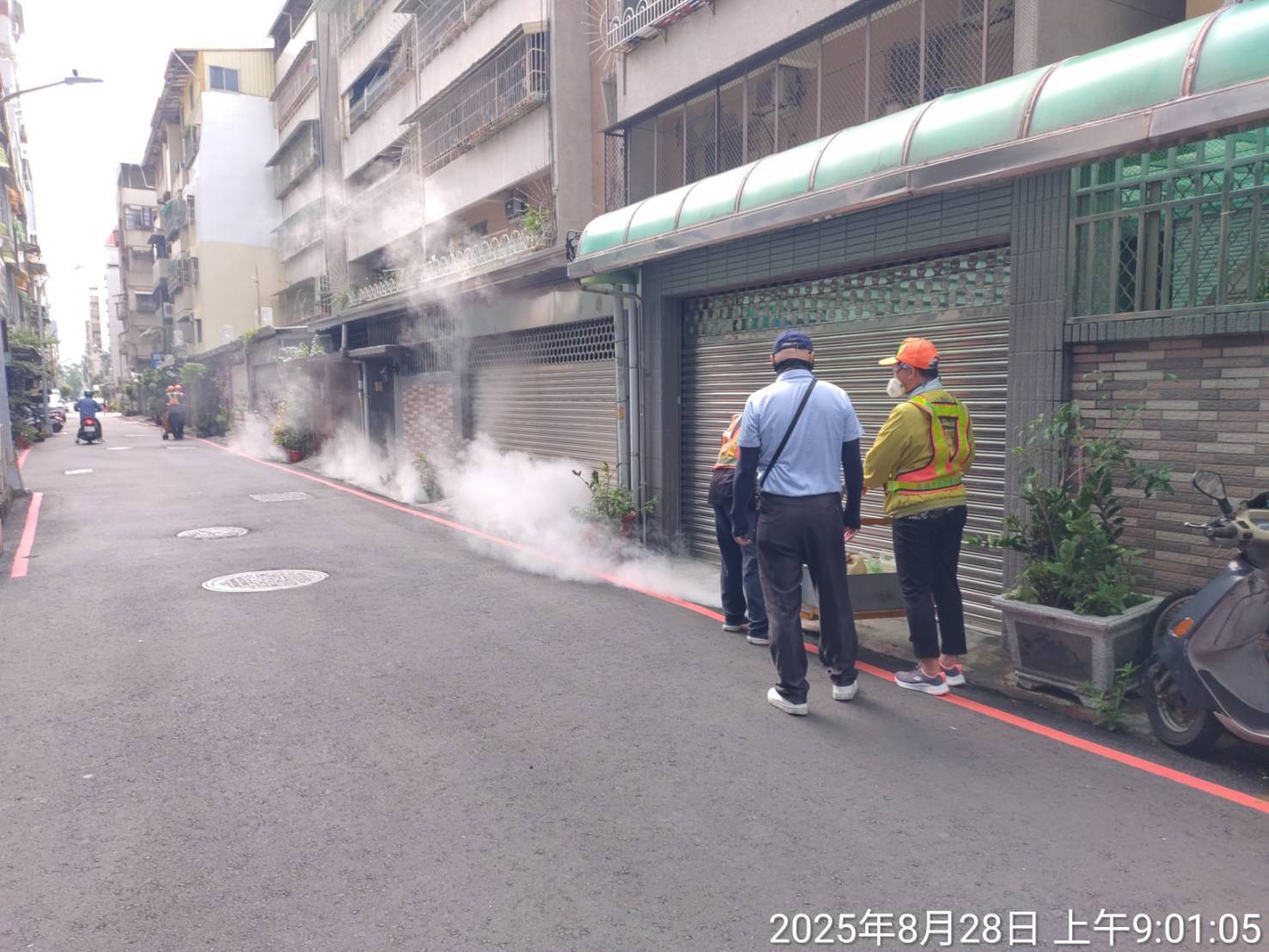 高市本土登革熱主動發現+1　累計10例、4家庭群聚