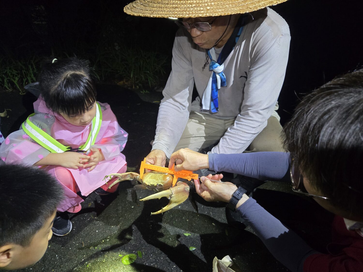 高雄援中港濕地護蟹總動員!陸蟹媽媽的「蟹」逅與挑戰 高雄援中港濕地護蟹總動員!陸蟹媽媽的「蟹」逅與挑戰