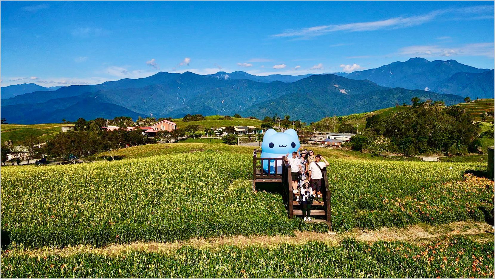 花蓮富里這Young玩！咖波帶你玩出金針花樣夏日