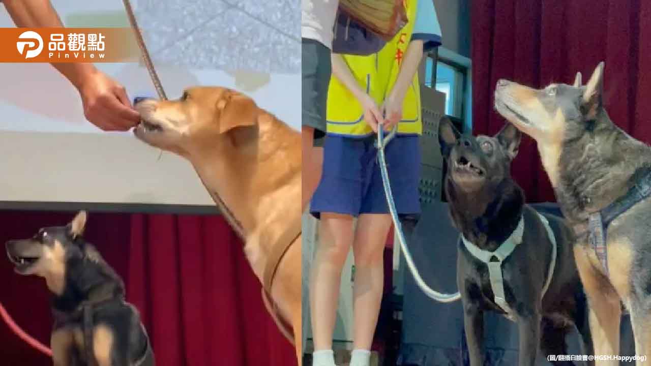 竹女新生訓練花30分鐘「介紹校狗」！每隻上台吃零食表演