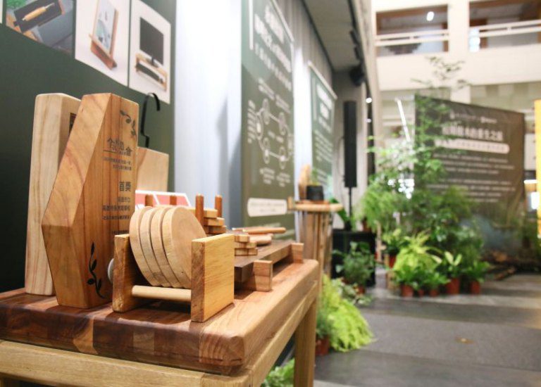 從風災折木到工藝家具　 陽明交大打造校園樹木「第二人生」