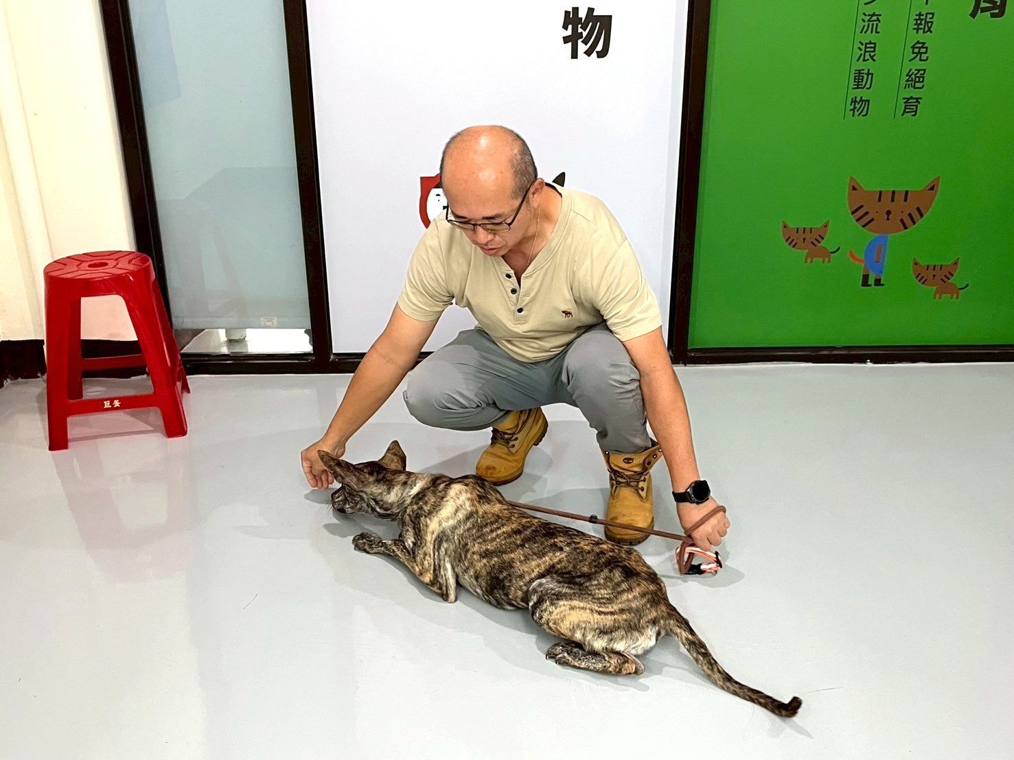 助飼主及毛孩同步升級！高市動保處暑期訓犬課程圓滿落幕