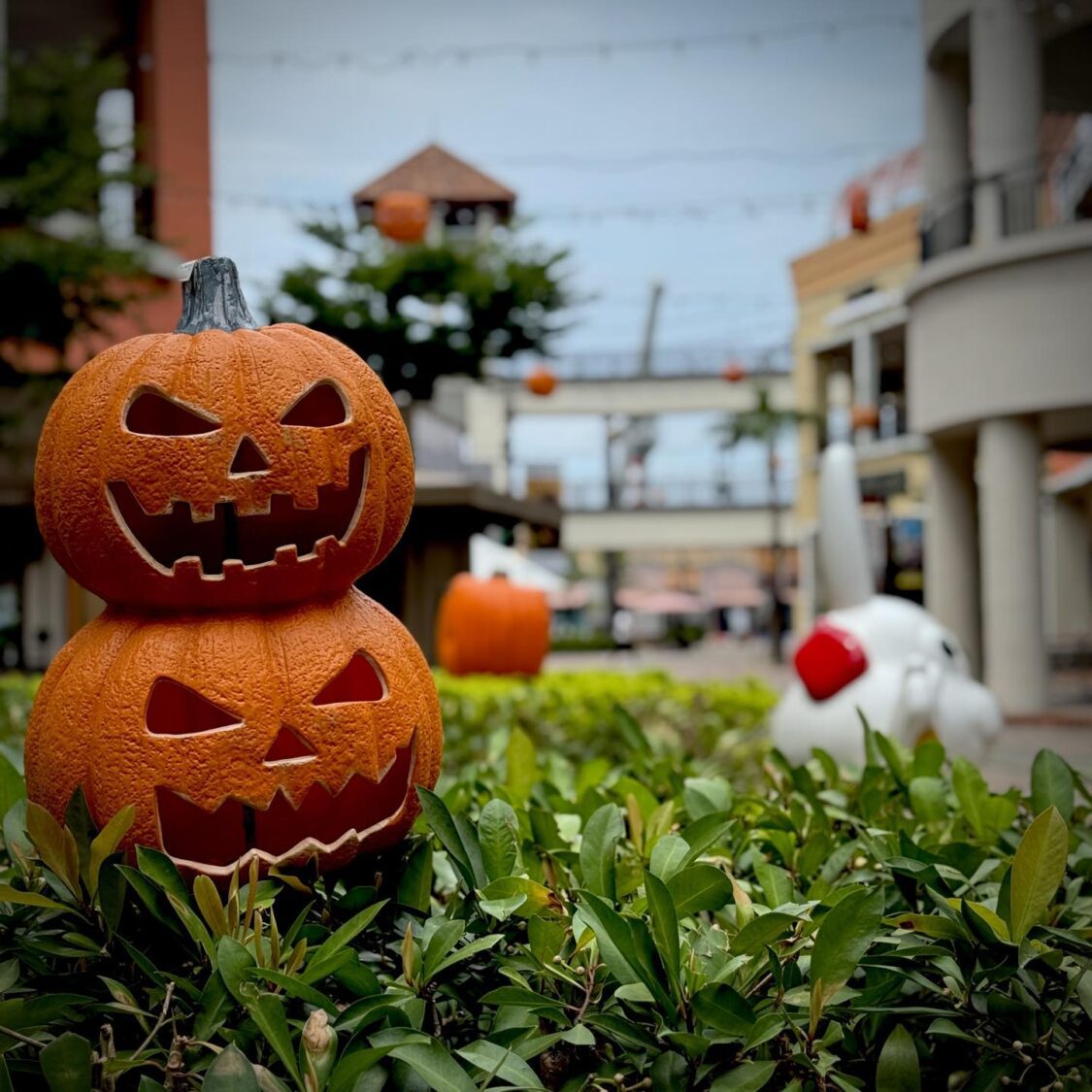 SKM Park Outlets高雄草衙打造南台灣最大萬聖節慶典