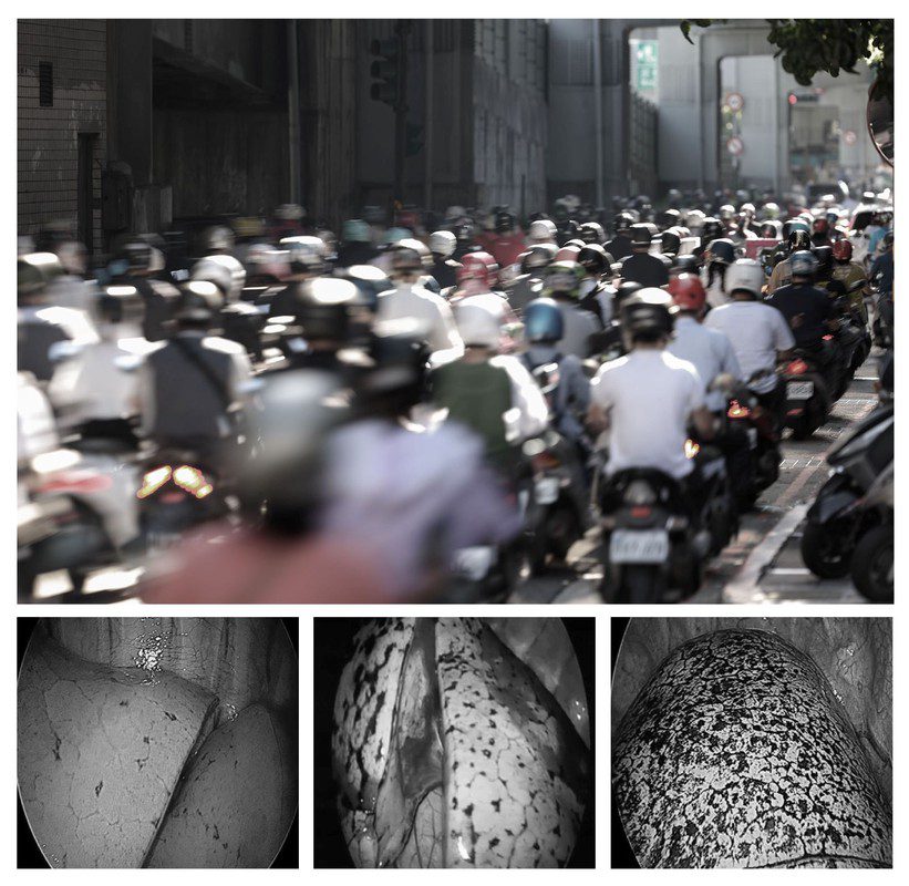 世界空氣日倡議　克立淨推「一台抵三台」，有效解決台灣空污、高濕度與霉菌3大挑戰