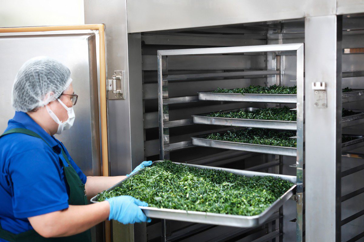 健康飲食新趨勢 薑博士定義「極簡健康學」