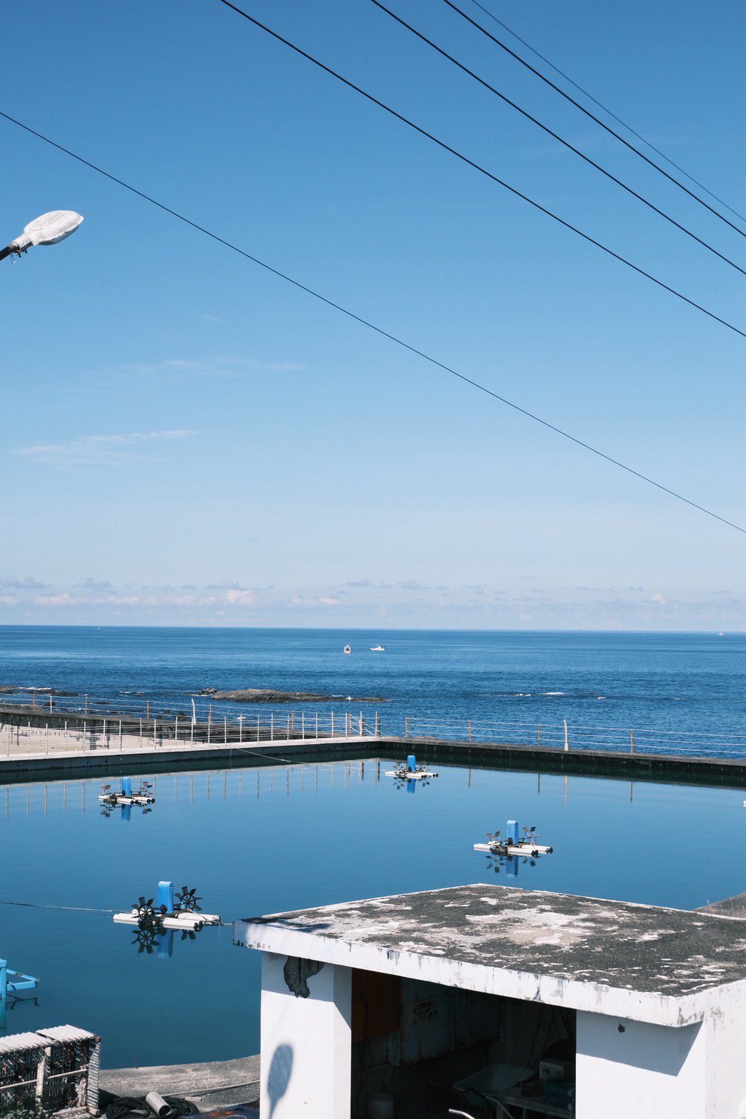 從一隻蝦吃到太平洋的甘甜，台東青年返鄉的永續力量