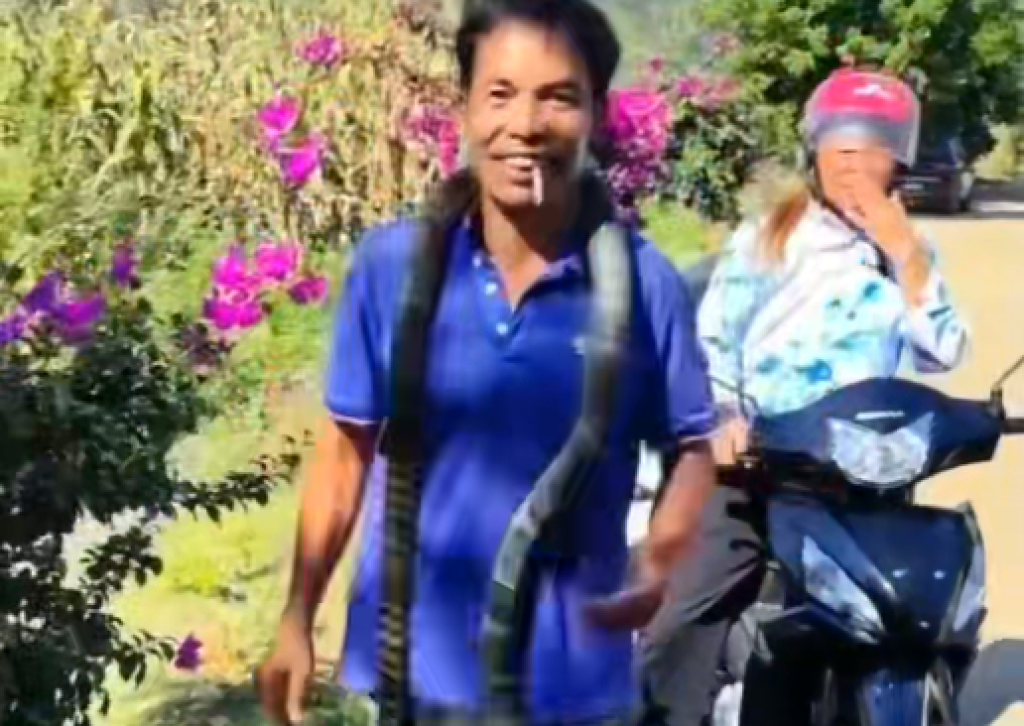 影／把眼鏡蛇王當無毒蛇！陸男把牠掛脖子上玩　慘被鑽進褲子內咬死