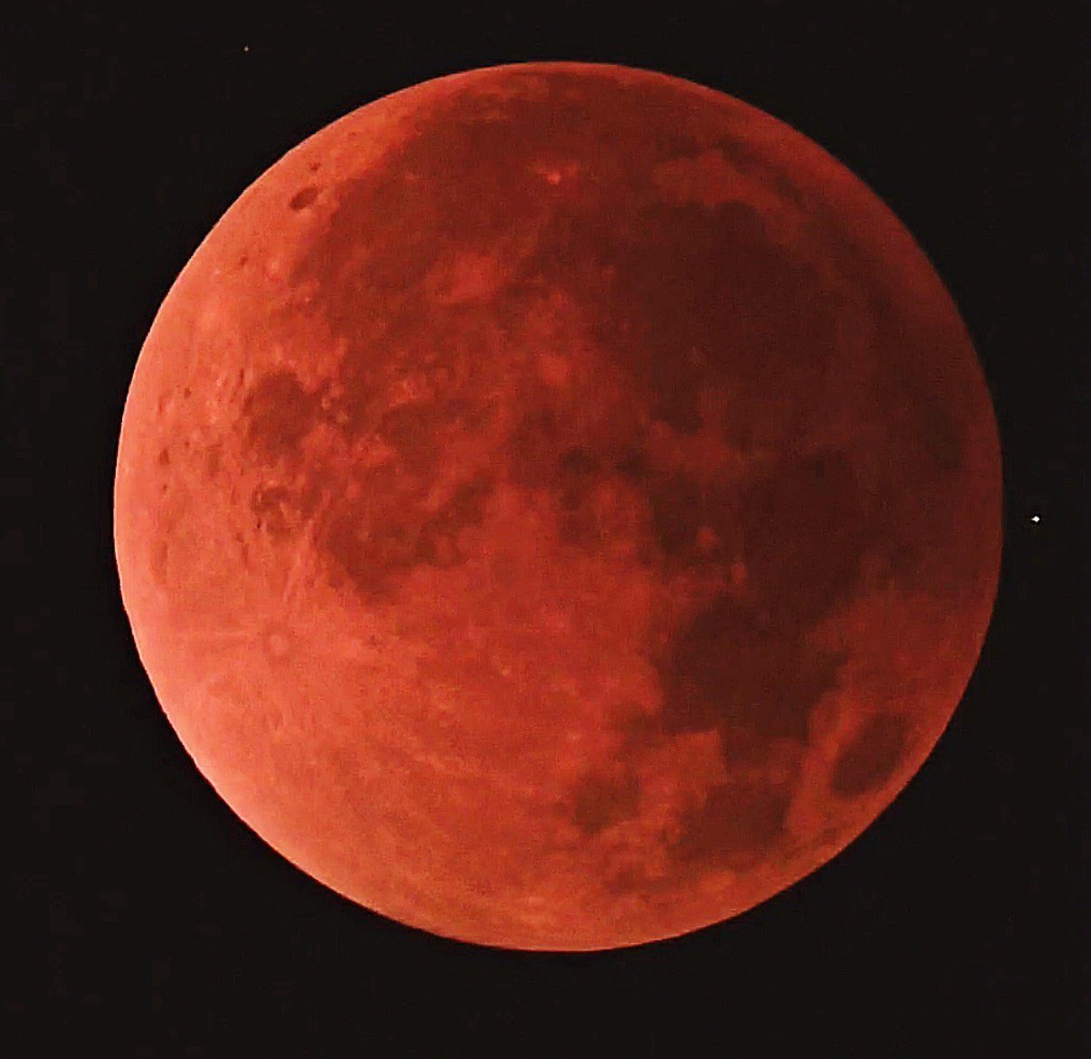 月全蝕點亮夜空！桃市圖帶領親子共度難忘閱讀夜