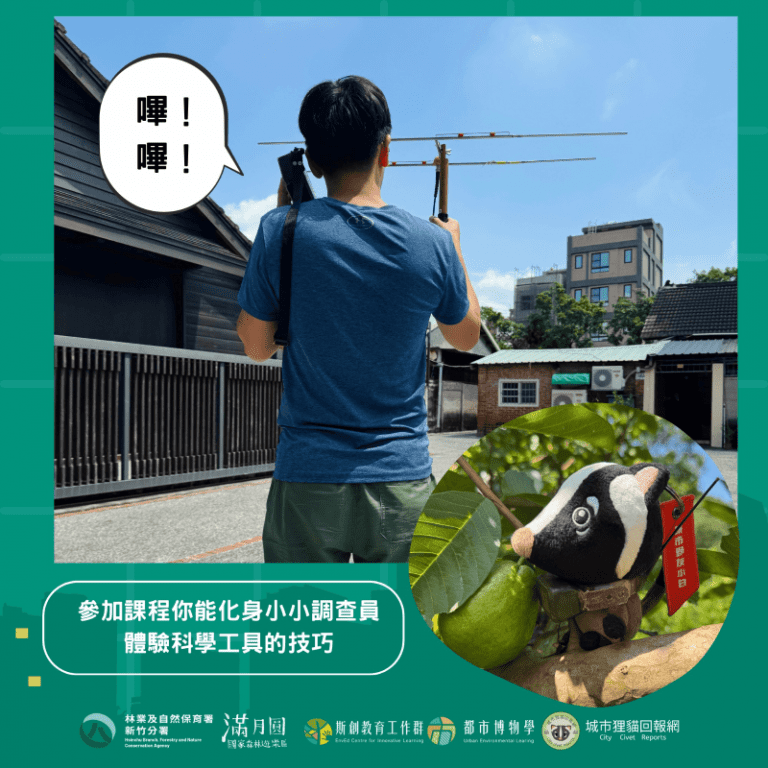 滿月圓「城市狸貓保衛戰」親子環境體驗課程開課