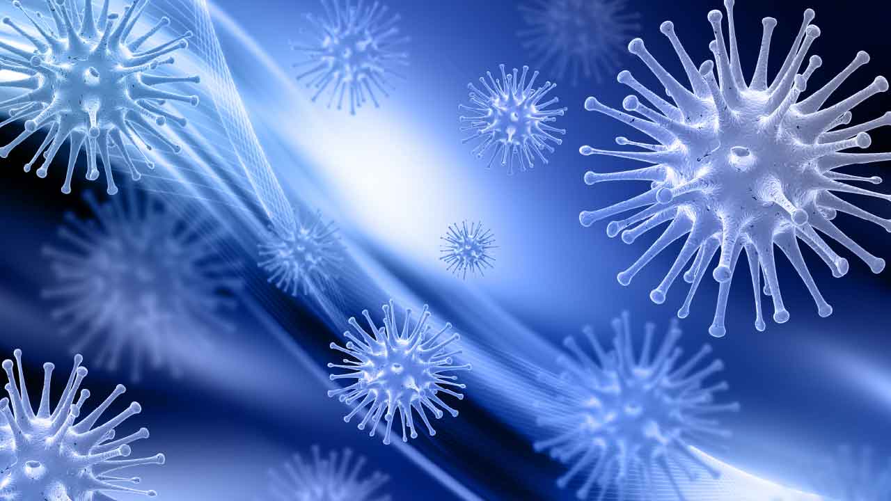 致死率75%！南韓緊急列「立百病毒」為一級傳染病