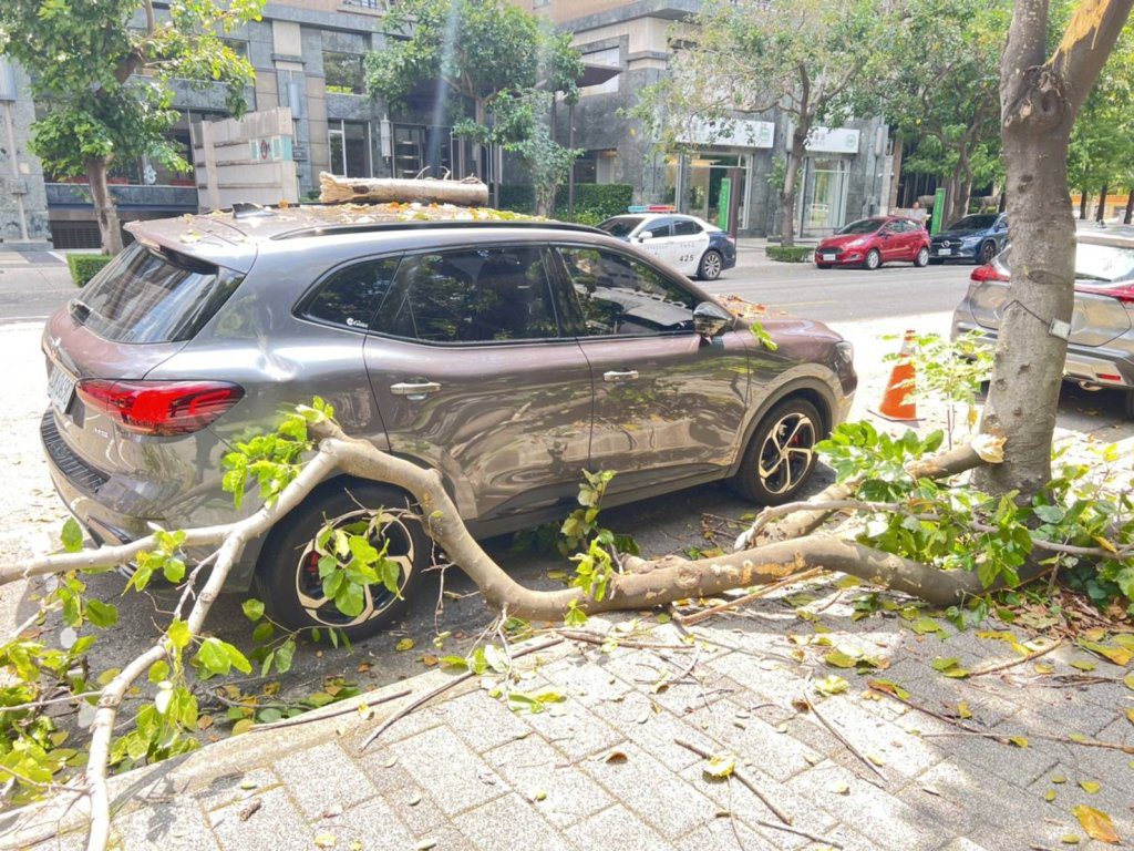 台中迪卡儂旁路樹倒塌壓車！ 　業者願賠車主損失雙方和解