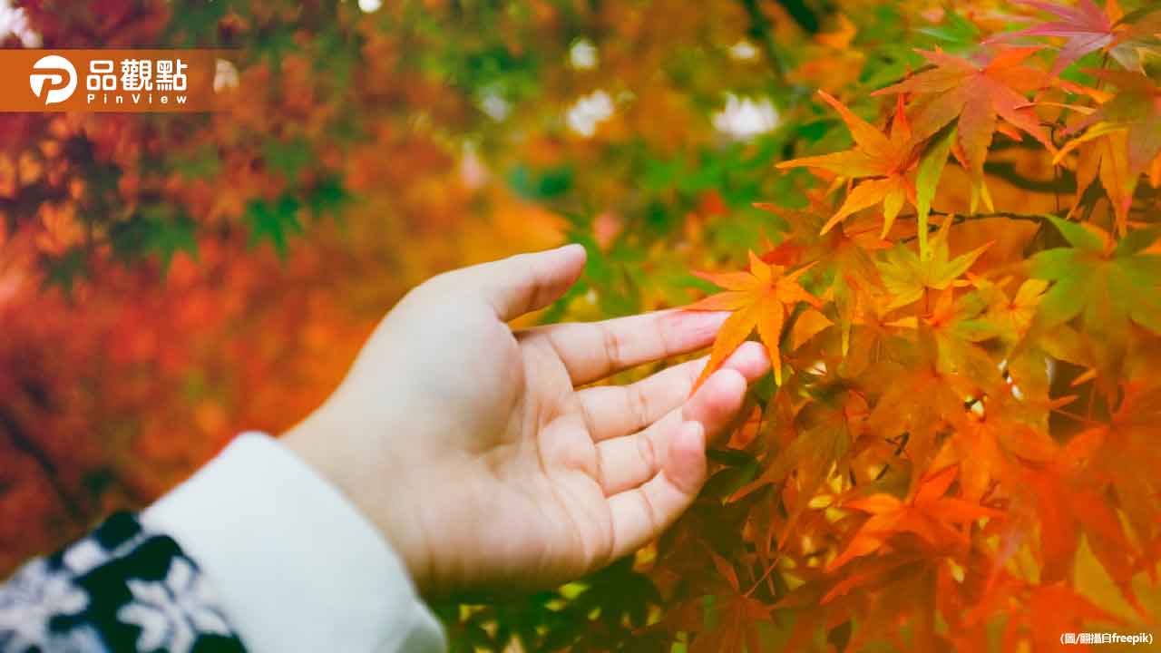 要轉涼了！入秋首波東北季風報到　降溫幅度看這