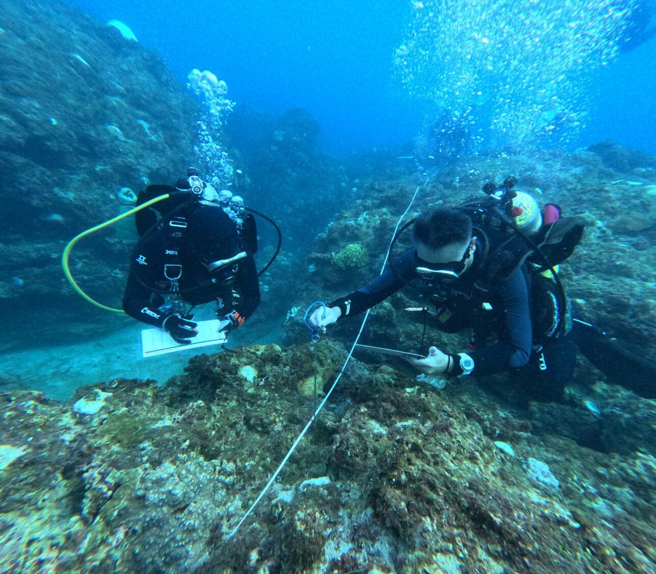 廣納地方力量 守護台灣海洋！115年海洋保育署在地守護計畫徵件開跑