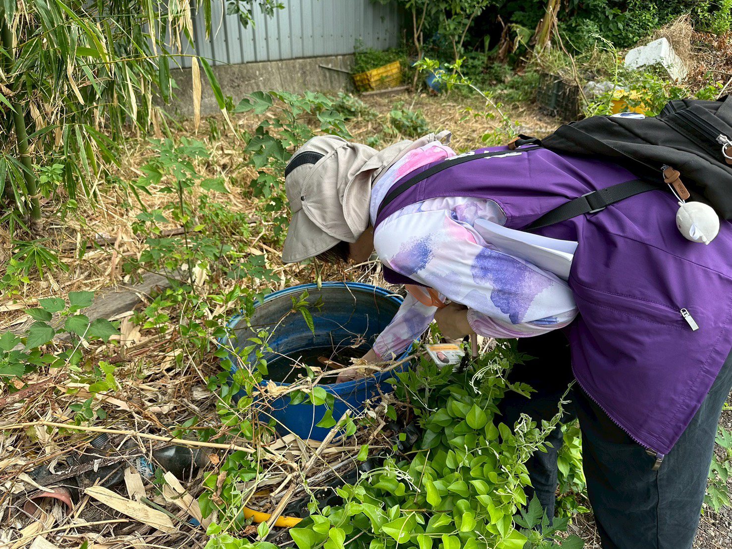 未清理積水容器導致孳生病媒蚊幼蟲 桃園衛生局:最重可罰1萬5 未清理積水容器導致孳生病媒蚊幼蟲 桃園衛生局:最重可罰1萬5