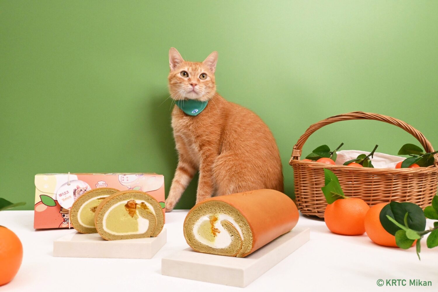 亞尼克YTM牽手高捷蜜柑站長 元氣生乳捲9月17日療癒開賣 亞尼克YTM牽手高捷蜜柑站長 元氣生乳捲9月17日療癒開賣