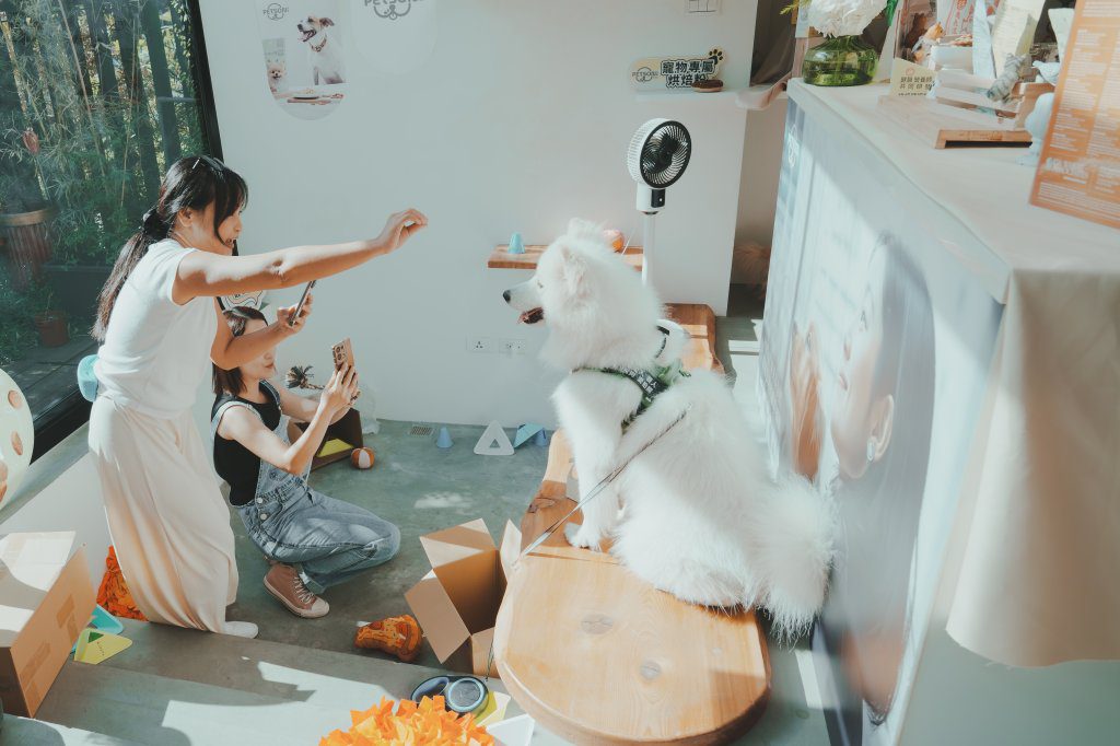 聯華製粉×美國小麥協會推「沛森PETSON」寵物食品｜DIY預拌粉體驗會溫馨登場