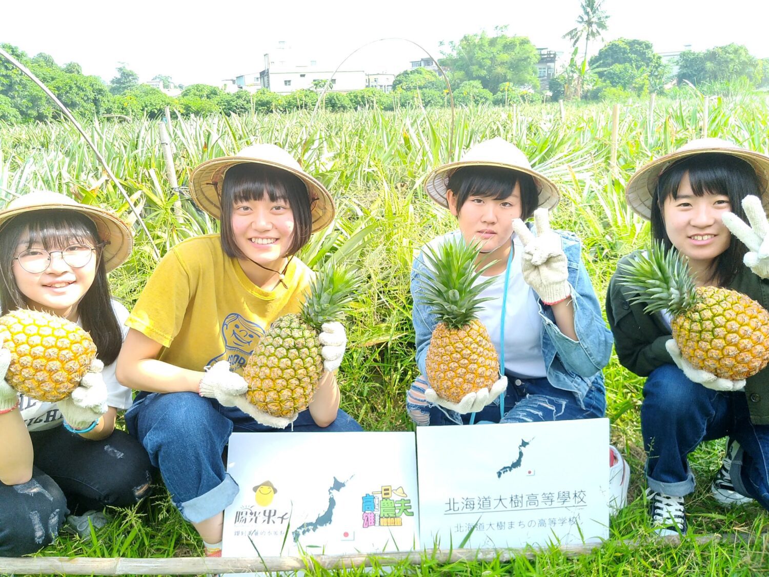 高雄農村國際發光  「一日農夫」紅到菲律賓旅遊市場