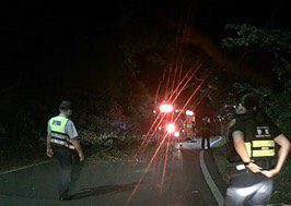 路樹倒塌阻礙交通 員警協助 路樹倒塌阻礙交通 員警協助