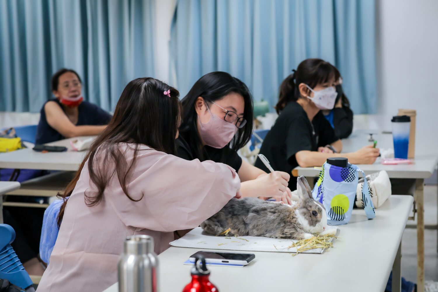 高市動保處「好伴兔兔講座」溫馨登場 近百位學員與10隻兔子齊聚共學健康照護