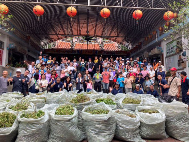 先下手為強! 　防治月共下來挷小花蔓澤蘭