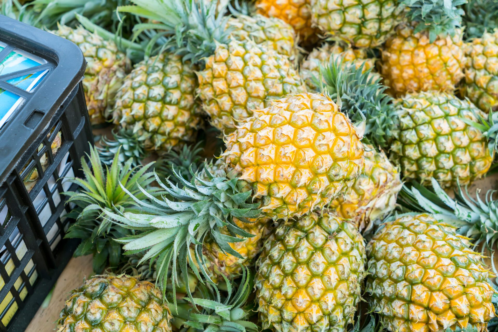 中國禁台灣鳳梨逾4年 日本年砸7億挺台全買下