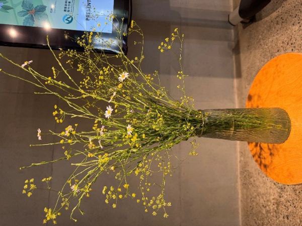 珍稀植物遇見社區創意　苗南跨域協作共譜生態綠網新篇章