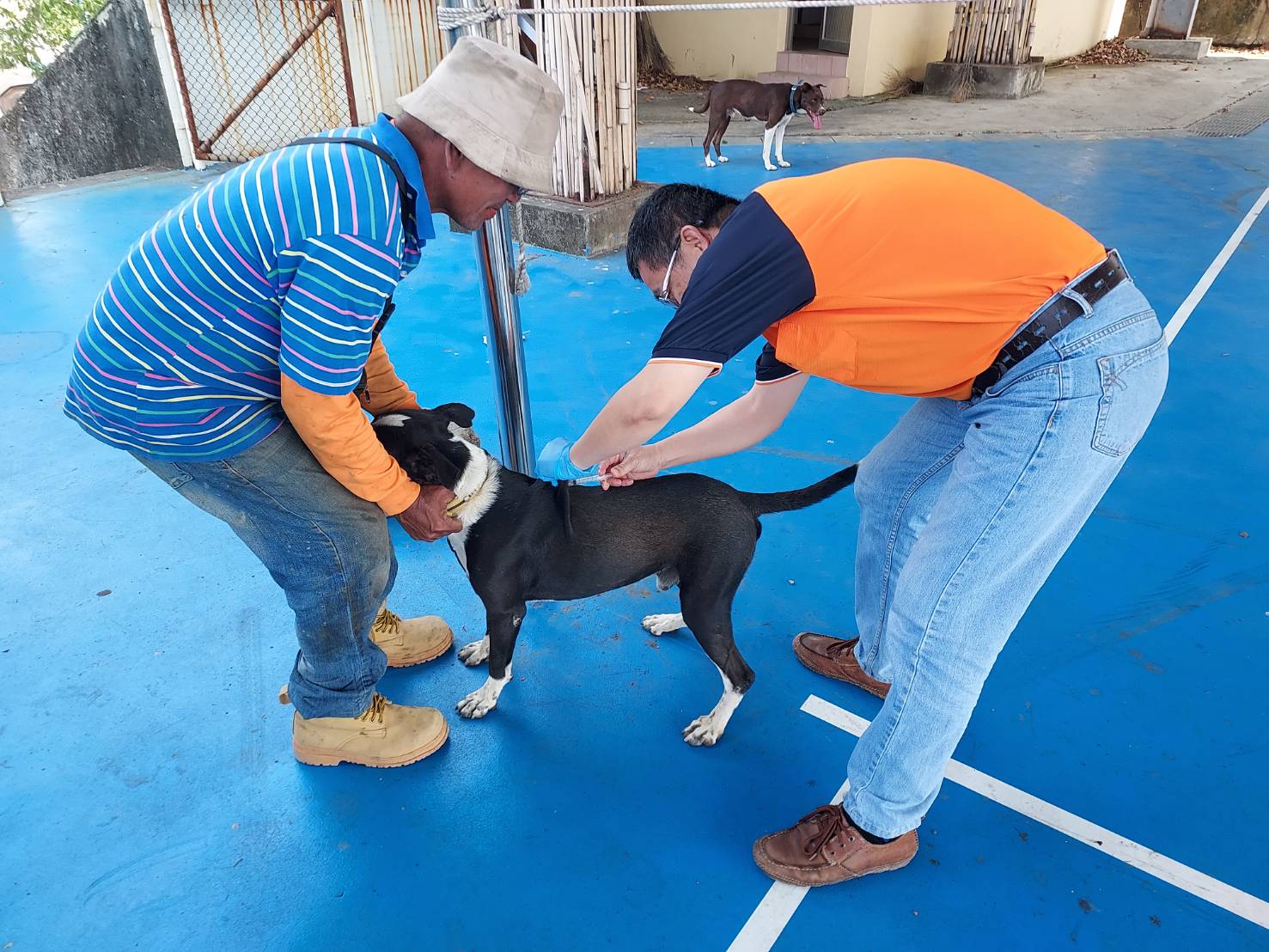 屏縣世界狂犬病日活動即將登場　限量寵物好禮等你來拿