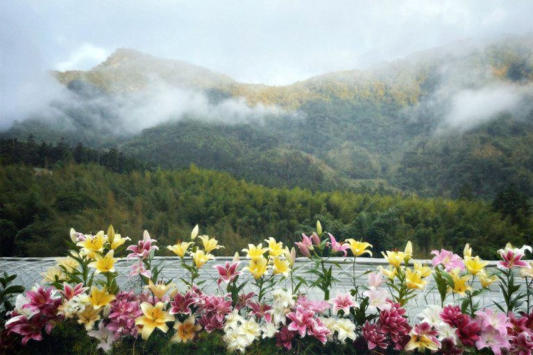 中秋、雙十、光復節連假暢遊　阿里山賓館推「鄒年慶部落探索」