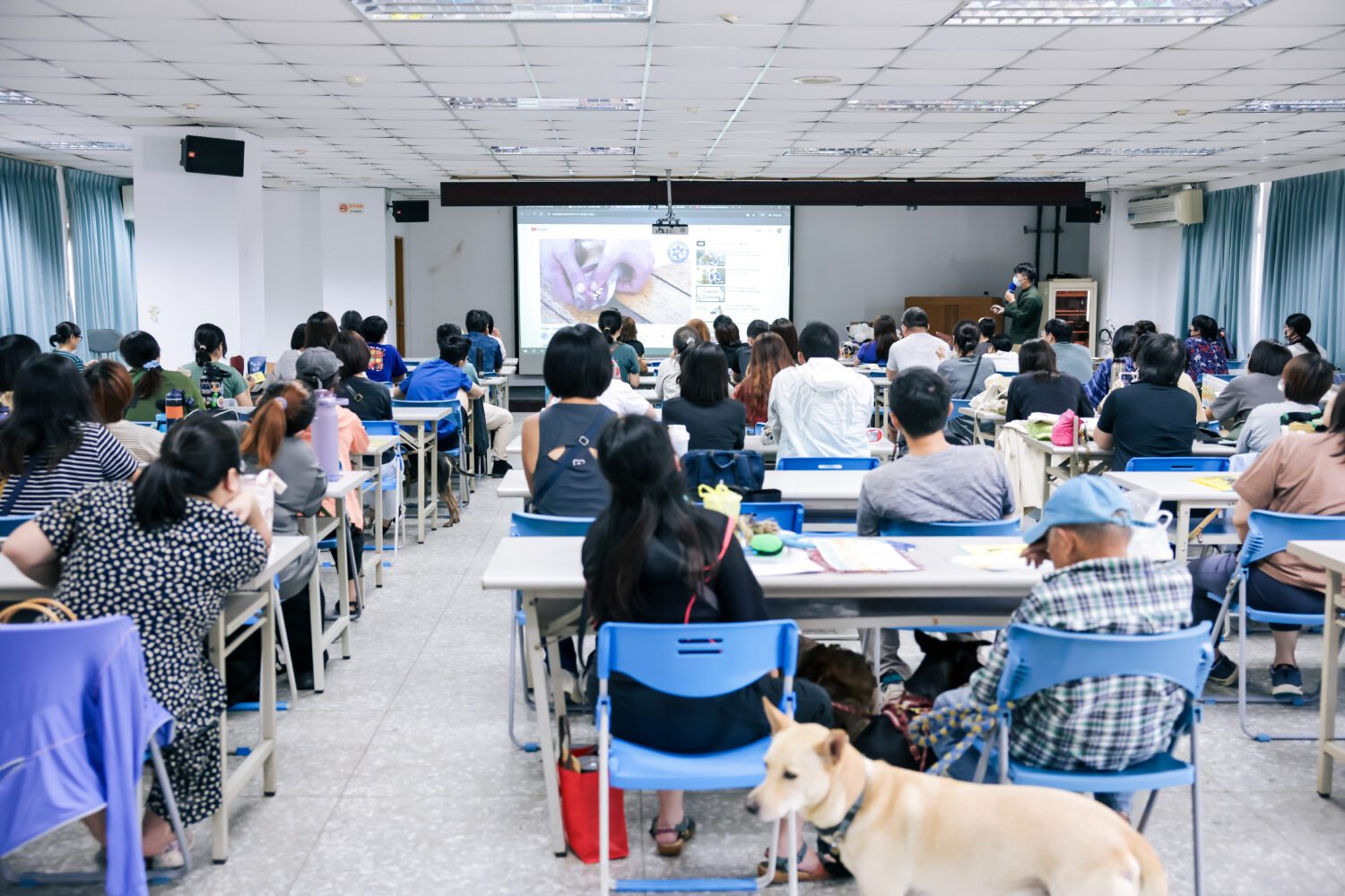 9/21國家防災日 高雄市動保處推出寵物急救教學