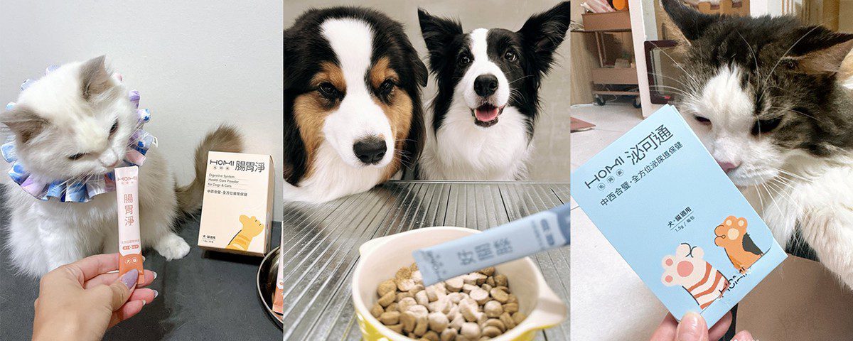 讓中醫進入毛孩生活——HOMI毛與家以五行智慧打造日常照護新選擇 讓中醫進入毛孩生活——HOMI毛與家以五行智慧打造日常照護新選擇