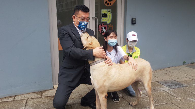 長年深耕動保政策推動人寵共生城市　  議長許修睿榮獲「2025全國縣市議員動物保護貢獻獎」