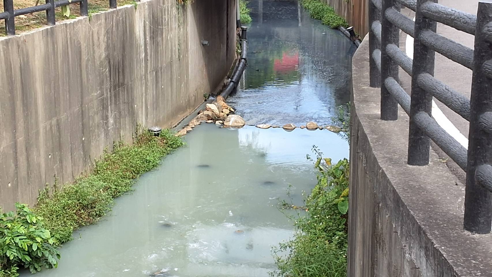 桃園南崁溪詭異乳白色液體飄異味 兇手是豆干工廠