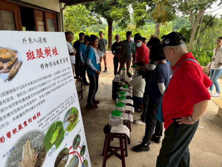 竹縣宣導外來種樹蛙防治及原生龜類保育　峨眉關西納入「生態薪水」示範區